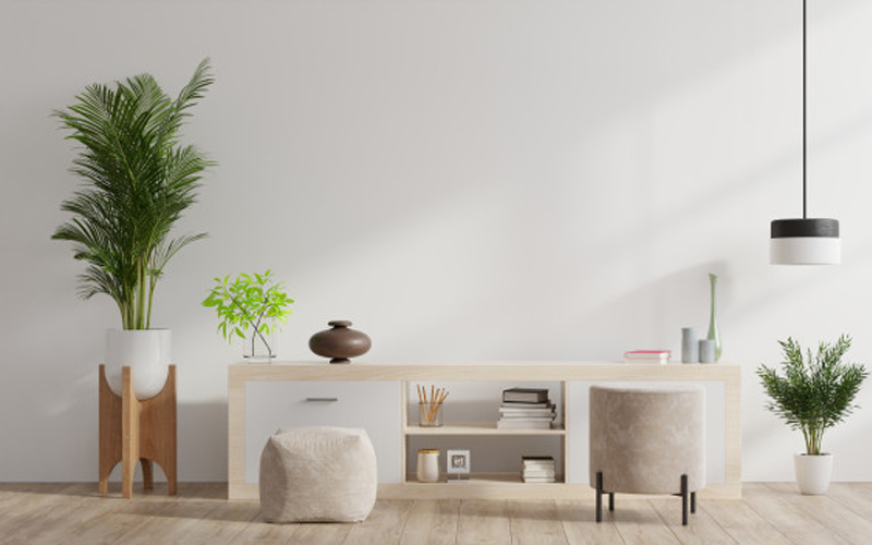 50 houseplants that purify air and remove pollutant
gases